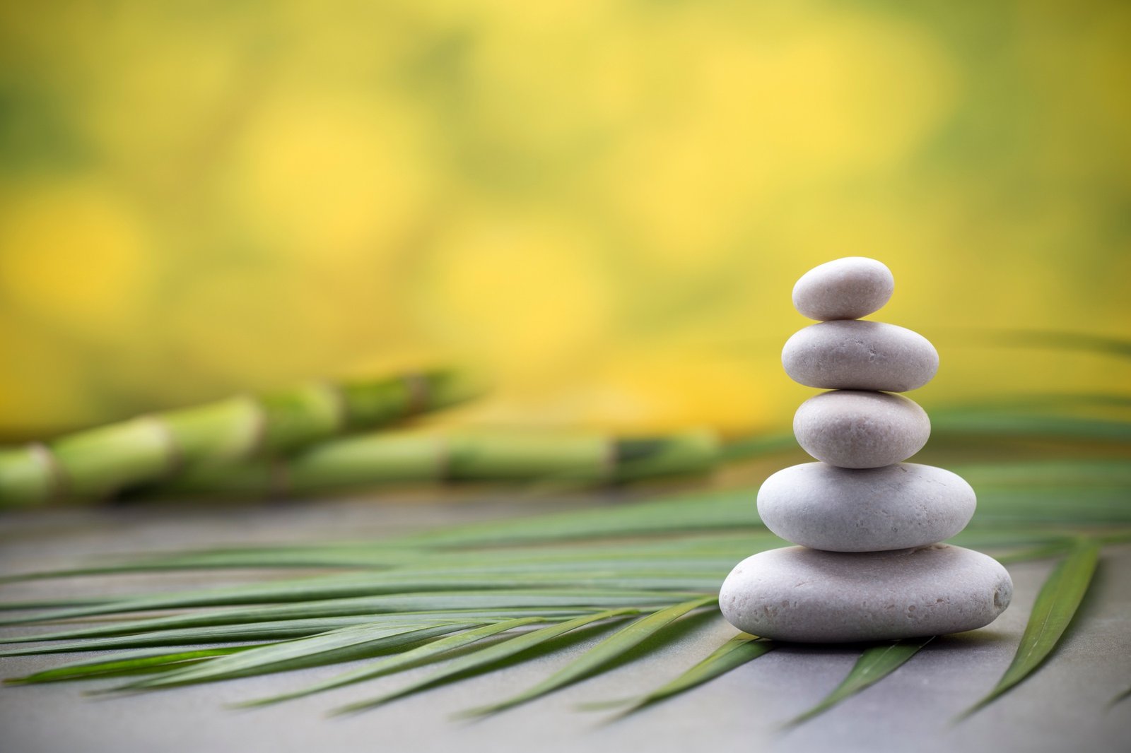 Wellness background.